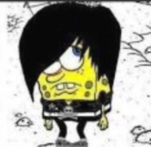 Meet your Posher, Emo